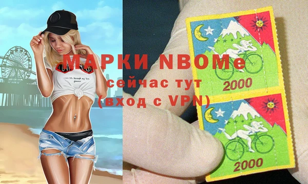 гашик Надым