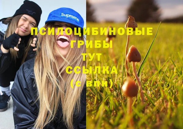 прущий лед Михайловск