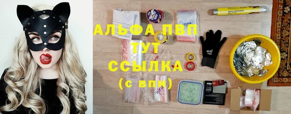 гашик Надым