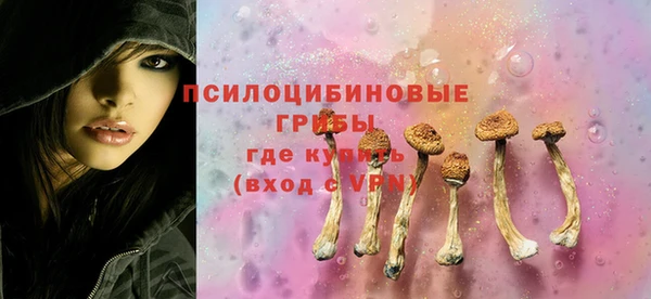 прущий лед Михайловск