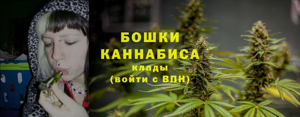 гашик Надым