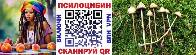 наркотики  Ангарск  kraken как войти  Псилоцибиновые грибы прущие грибы 
